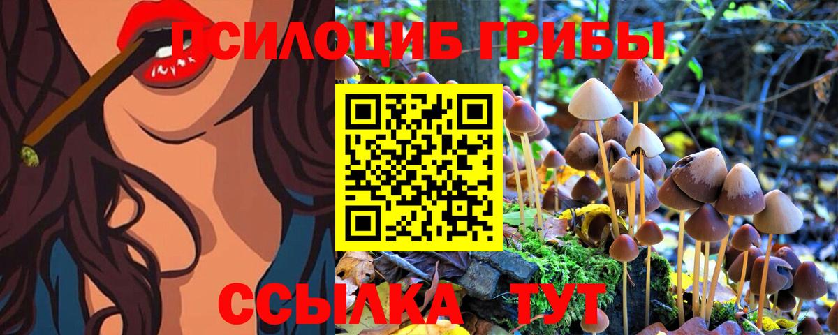 Псилоцибиновые грибы Psilocybine cubensis  Псилоцибиновые грибы ЛСД  Ефремов  Вход с VPN 